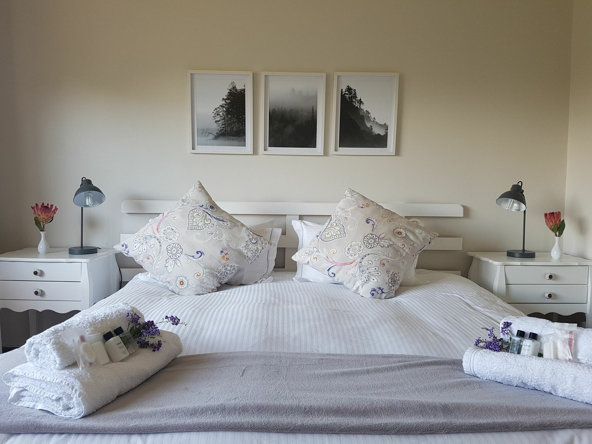 Valley Heights Guest House And B & B Kaapstad Buitenkant foto