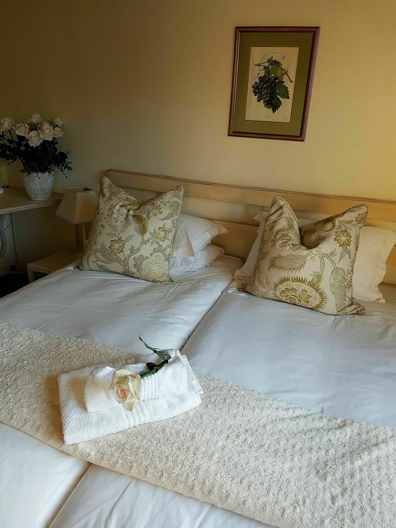 Valley Heights Guest House And B & B Kaapstad Buitenkant foto